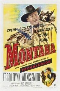 原野游侠,驰骋自然的传奇冒险之旅