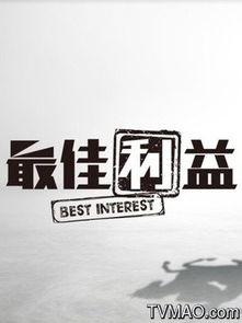 最佳利益,构建和谐发展的未来蓝图