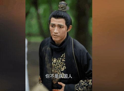 庆余年之帝王业,权谋天下，风云际会